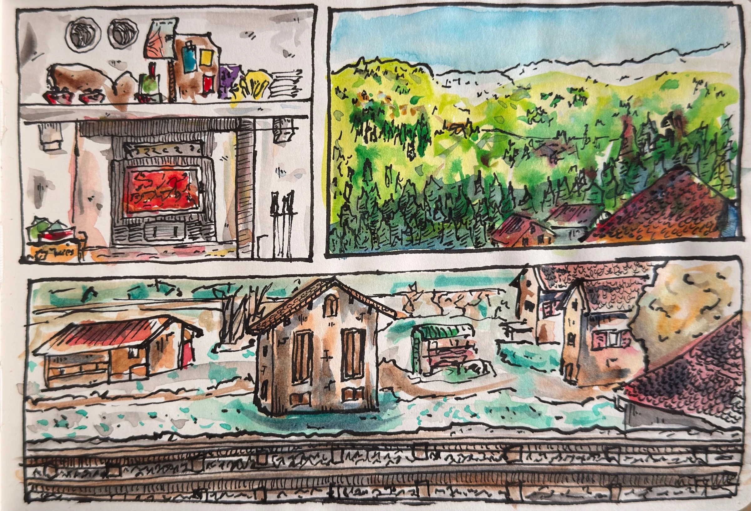 Illustrazione in evidenza